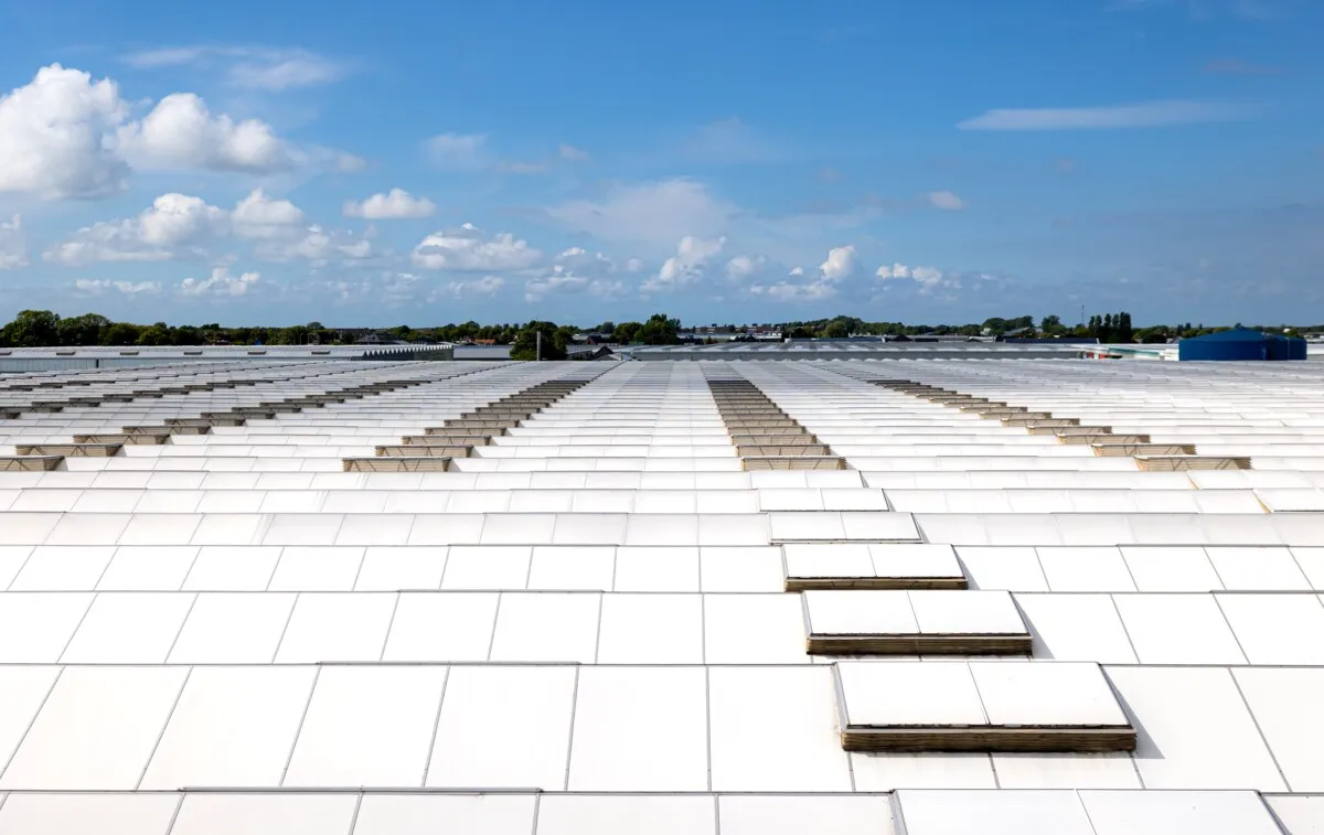 Completely off gas in the greenhouse — a sensible national move, not a foreign fad