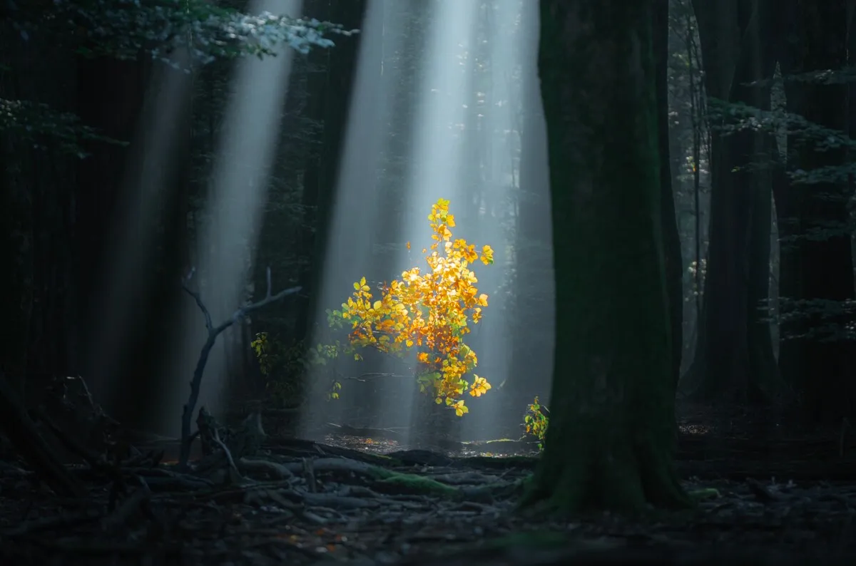 This Photographer Crossed the Netherlands from End to End—and Saw a Different Country Before Daybreak