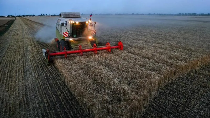 Russia's grain harvest reaches 113.5 million tonnes so far this year